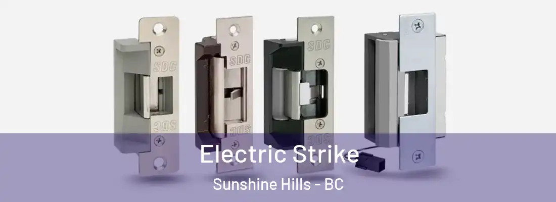  Electric Strike Sunshine Hills - BC
