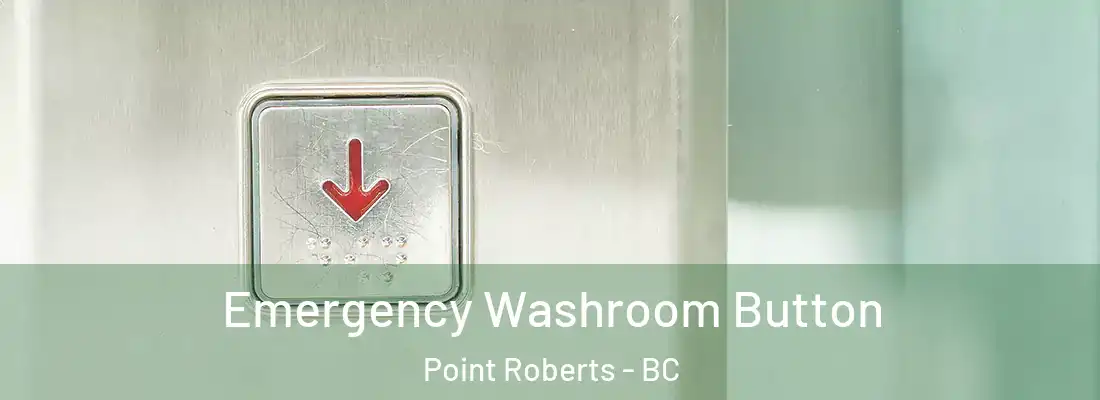  Emergency Washroom Button Point Roberts - BC
