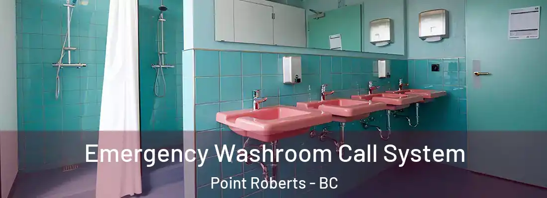  Emergency Washroom Call System Point Roberts - BC