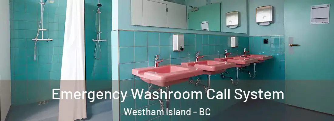  Emergency Washroom Call System Westham Island - BC