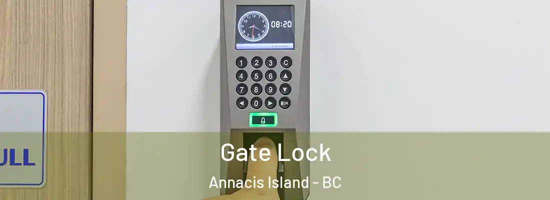  Gate Lock Annacis Island - BC