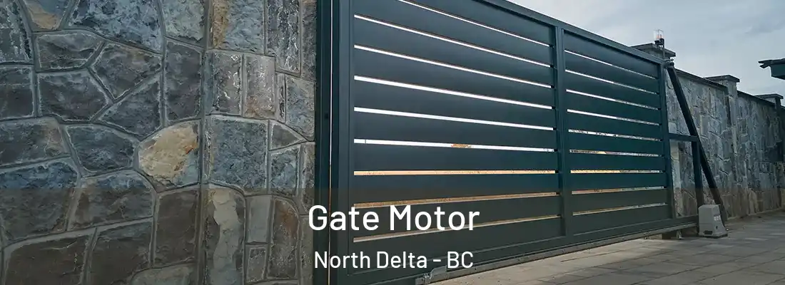  Gate Motor North Delta - BC
