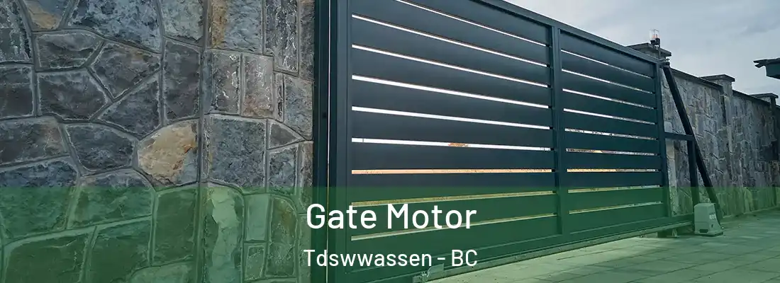  Gate Motor Tdswwassen - BC