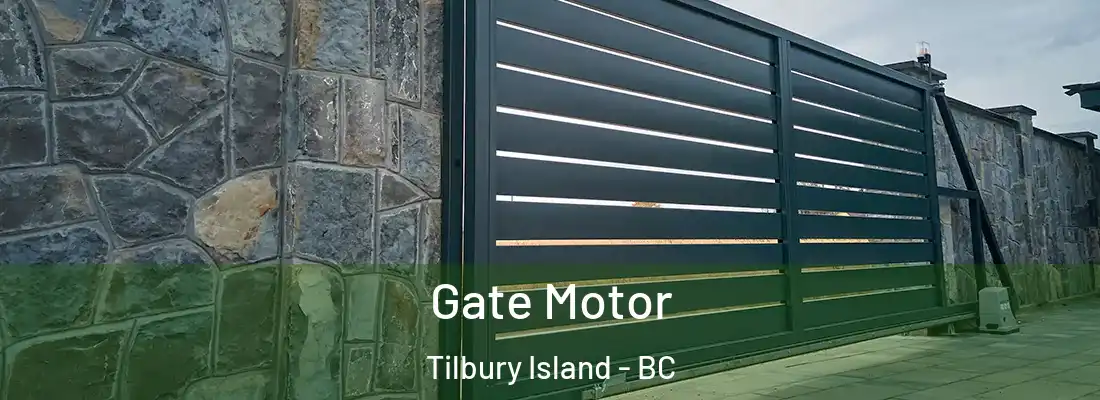  Gate Motor Tilbury Island - BC
