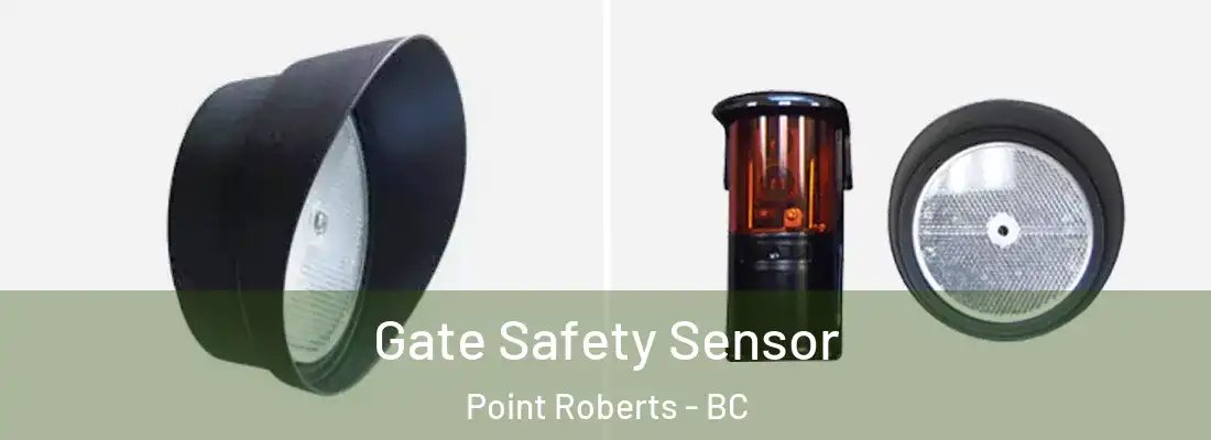  Gate Safety Sensor Point Roberts - BC