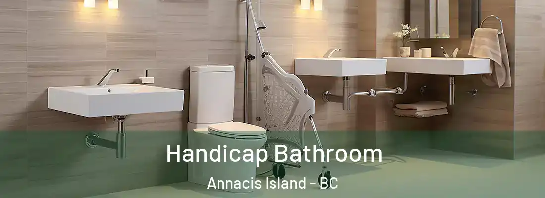  Handicap Bathroom Annacis Island - BC