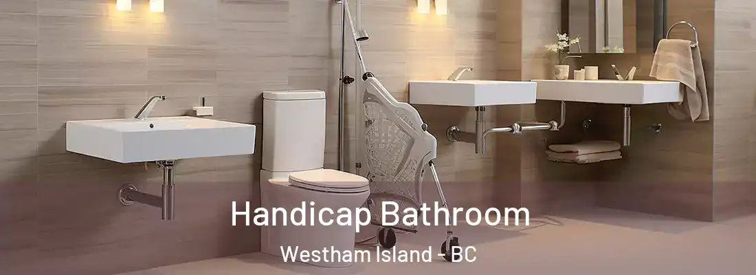  Handicap Bathroom Westham Island - BC