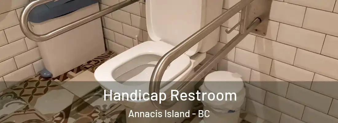  Handicap Restroom Annacis Island - BC