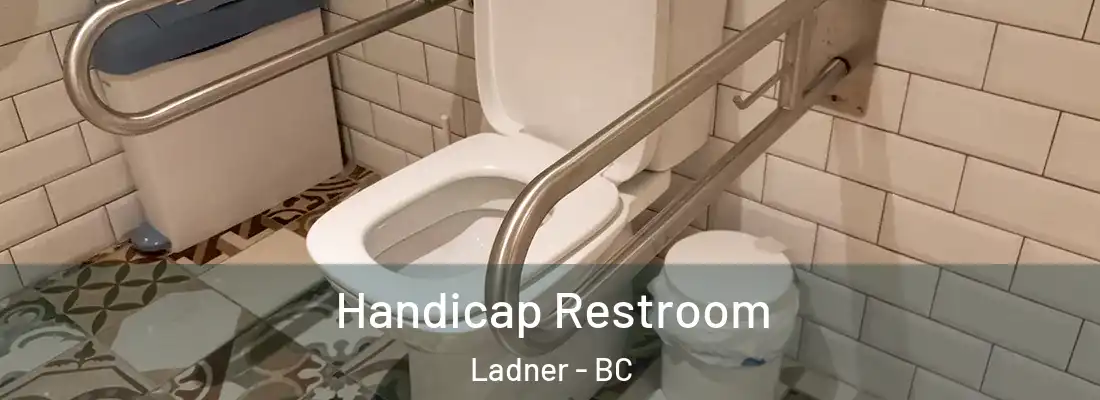 Handicap Restroom Ladner - BC
