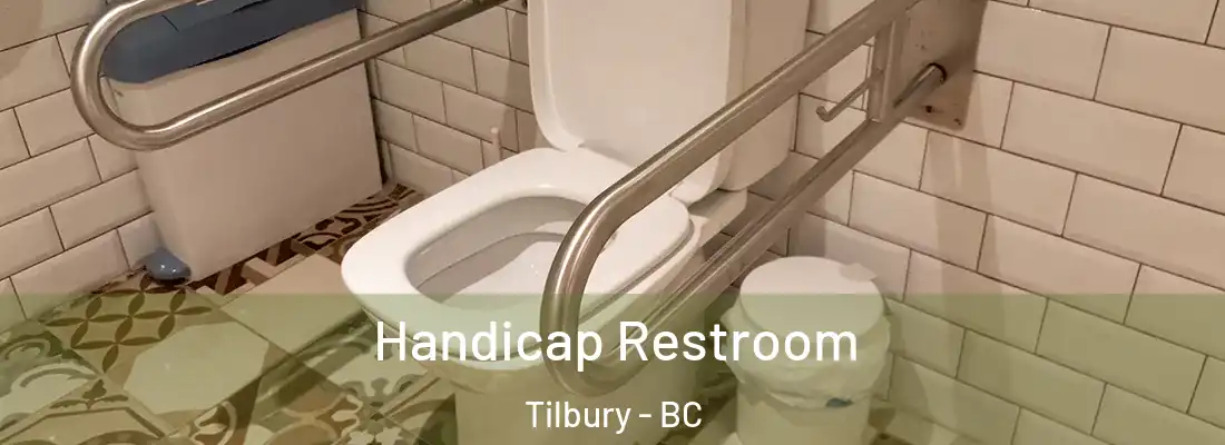  Handicap Restroom Tilbury - BC