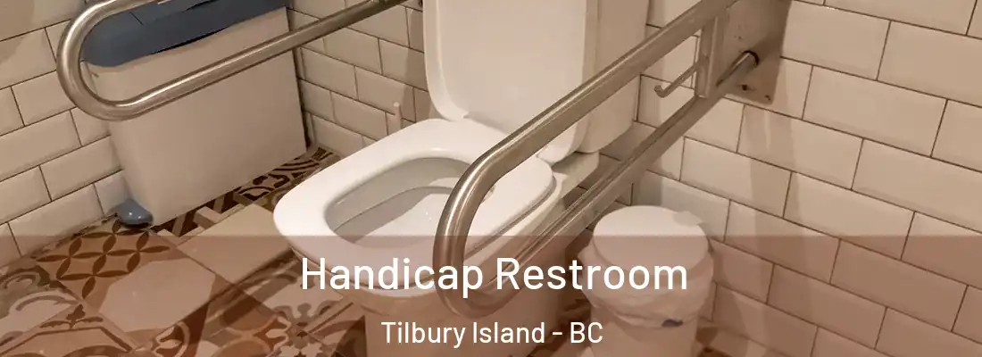  Handicap Restroom Tilbury Island - BC