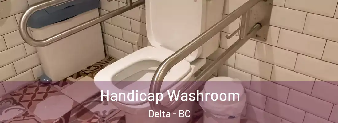  Handicap Washroom Delta - BC