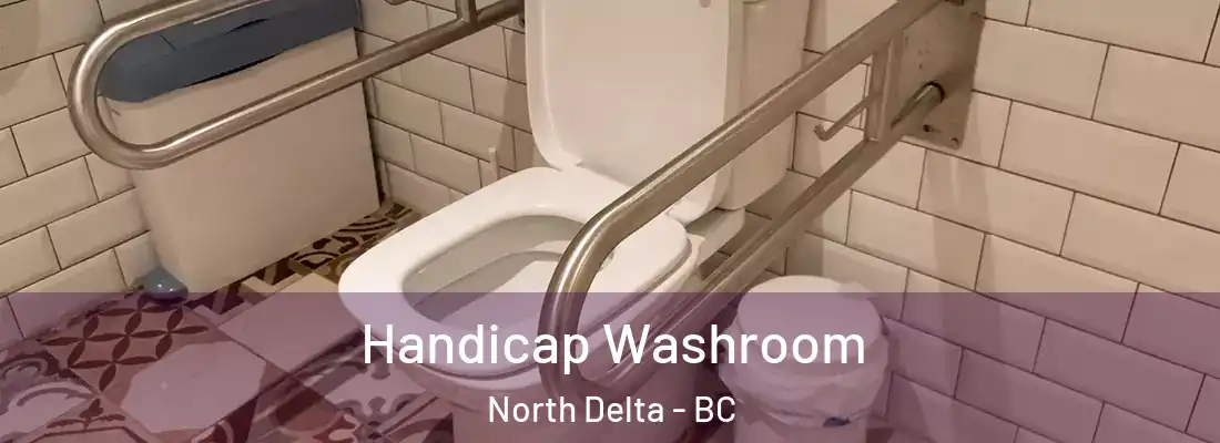  Handicap Washroom North Delta - BC