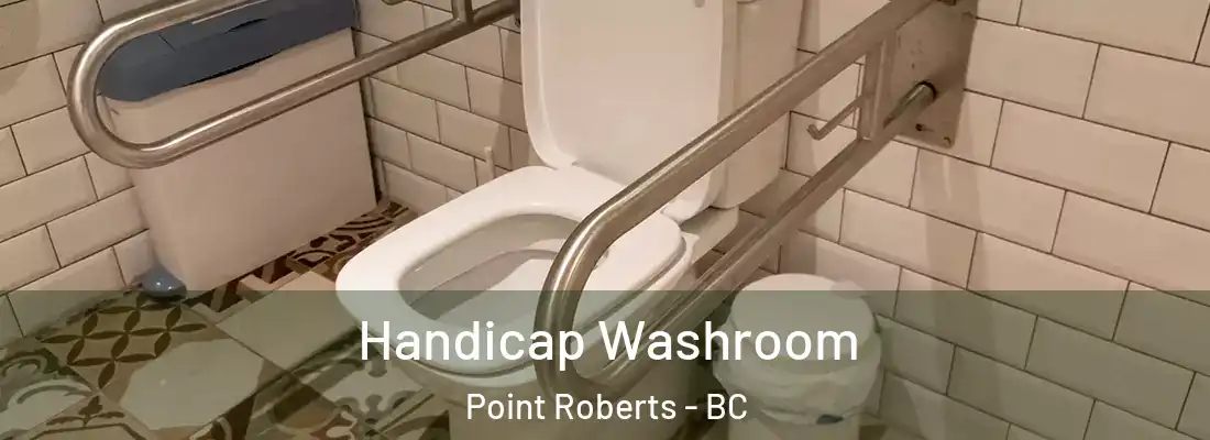  Handicap Washroom Point Roberts - BC