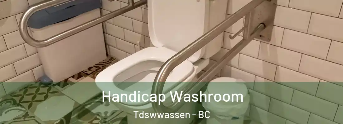  Handicap Washroom Tdswwassen - BC