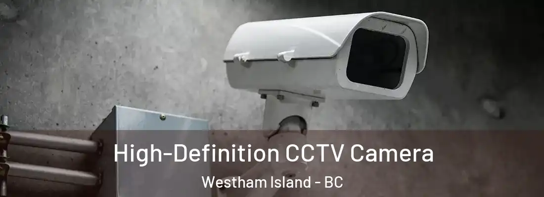  High-Definition CCTV Camera Westham Island - BC