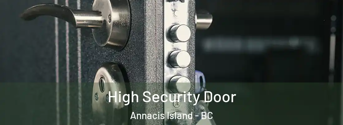  High Security Door Annacis Island - BC