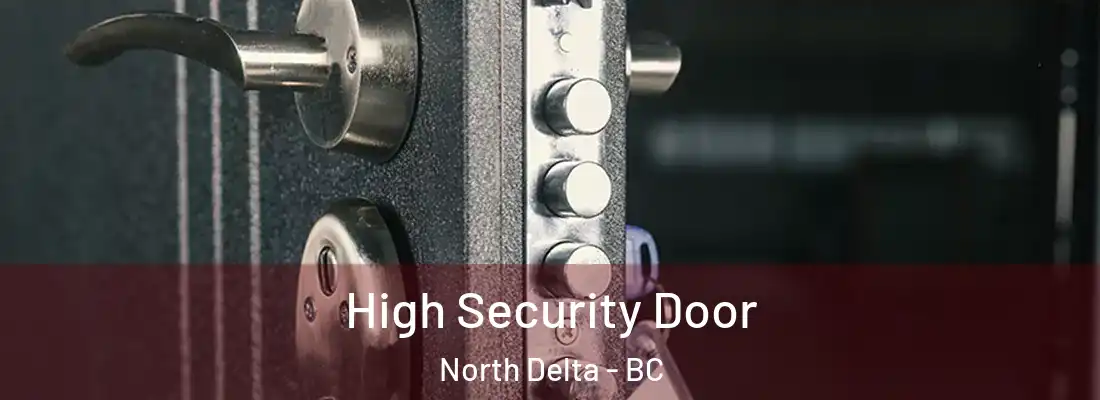  High Security Door North Delta - BC