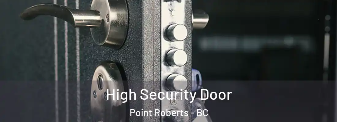  High Security Door Point Roberts - BC