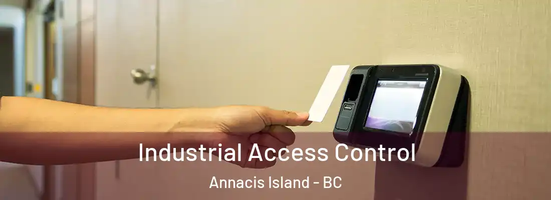  Industrial Access Control Annacis Island - BC
