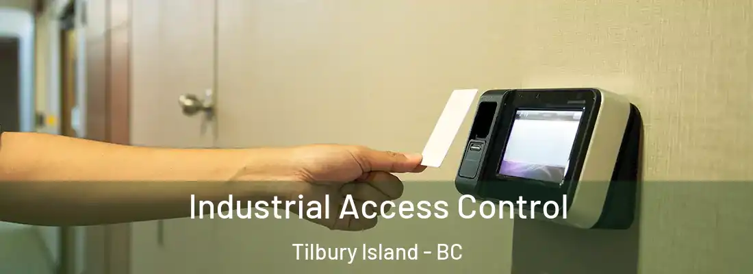  Industrial Access Control Tilbury Island - BC