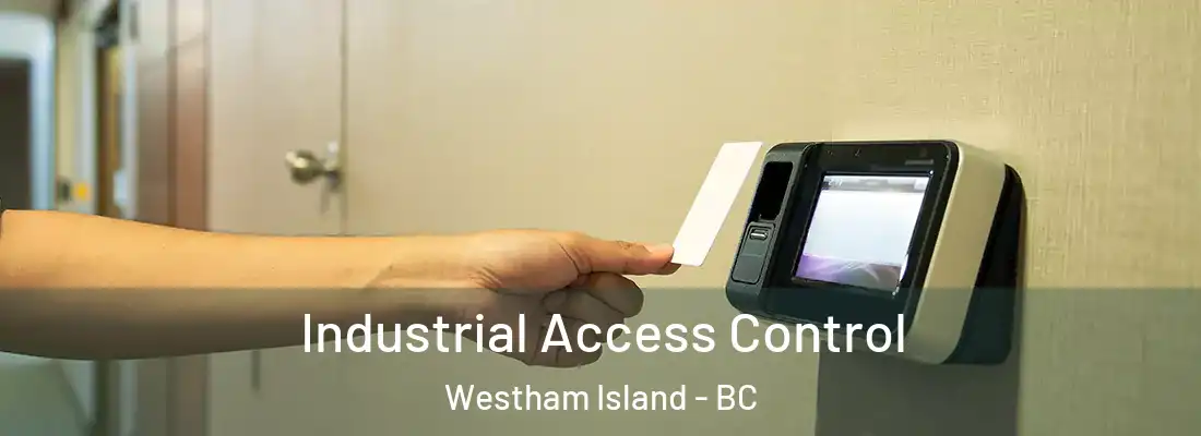  Industrial Access Control Westham Island - BC