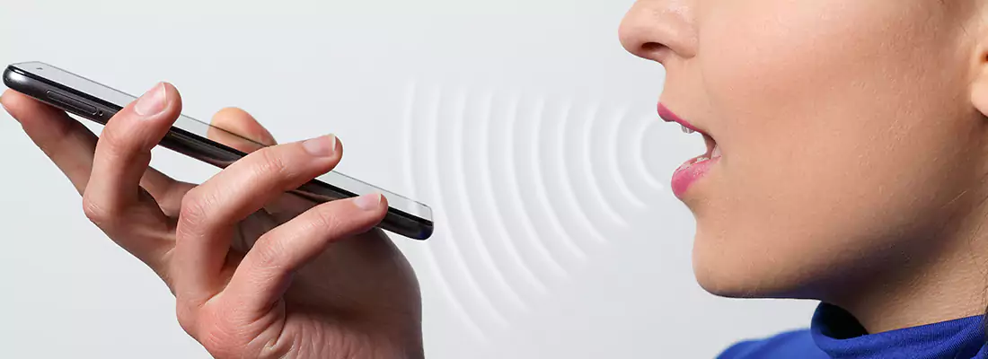 Residential and Commercial Voice Recognition Access Solutions in Delta, BC