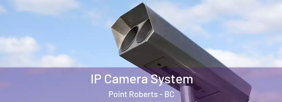  IP Camera System Point Roberts - BC