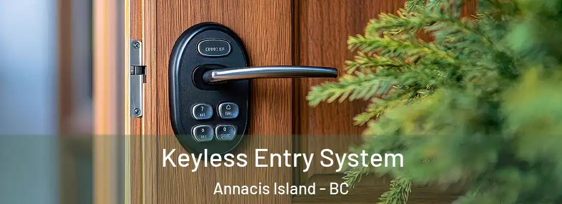  Keyless Entry System Annacis Island - BC
