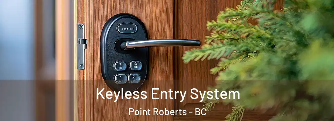  Keyless Entry System Point Roberts - BC