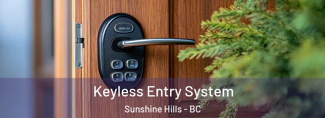  Keyless Entry System Sunshine Hills - BC
