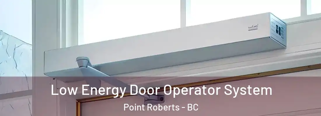  Low Energy Door Operator System Point Roberts - BC