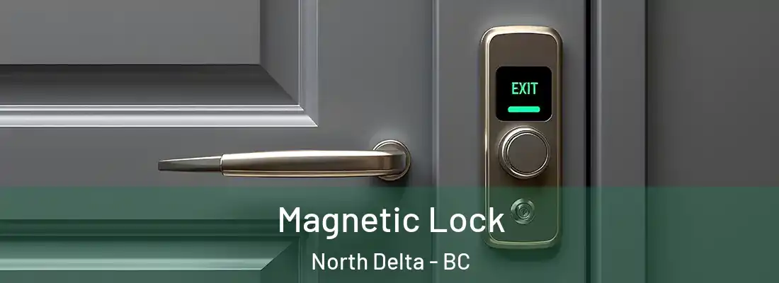  Magnetic Lock North Delta - BC