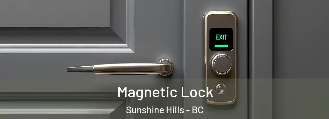  Magnetic Lock Sunshine Hills - BC