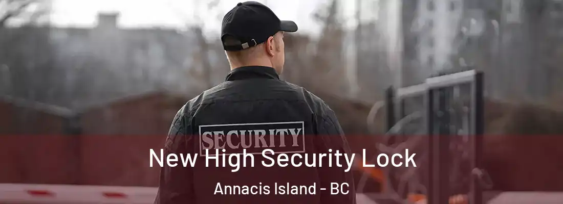  New High Security Lock Annacis Island - BC