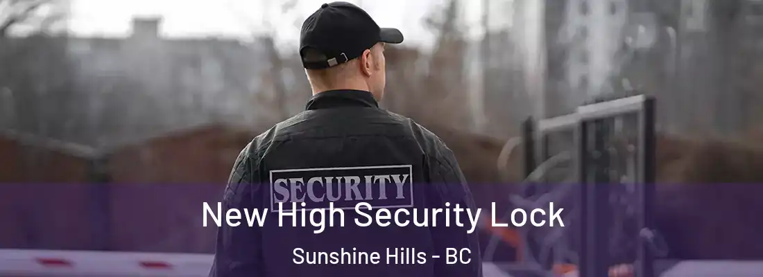  New High Security Lock Sunshine Hills - BC