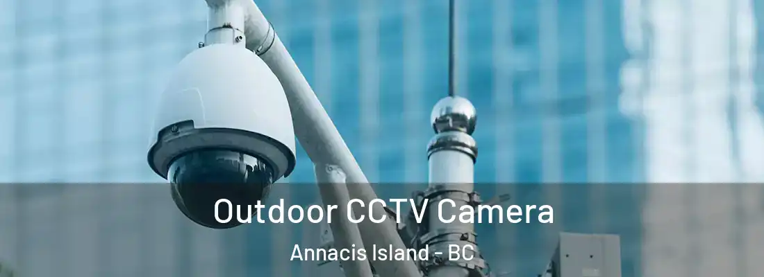  Outdoor CCTV Camera Annacis Island - BC