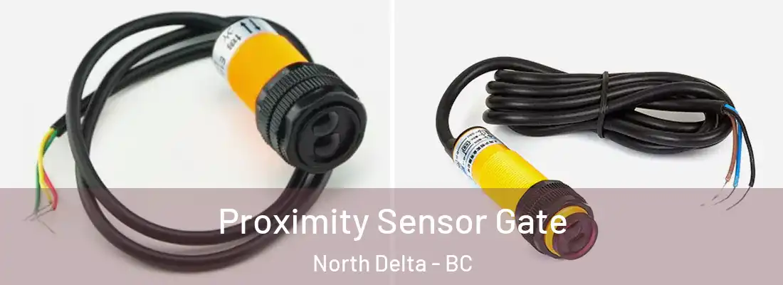  Proximity Sensor Gate North Delta - BC