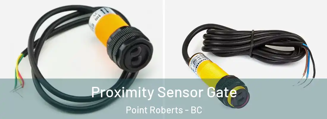  Proximity Sensor Gate Point Roberts - BC