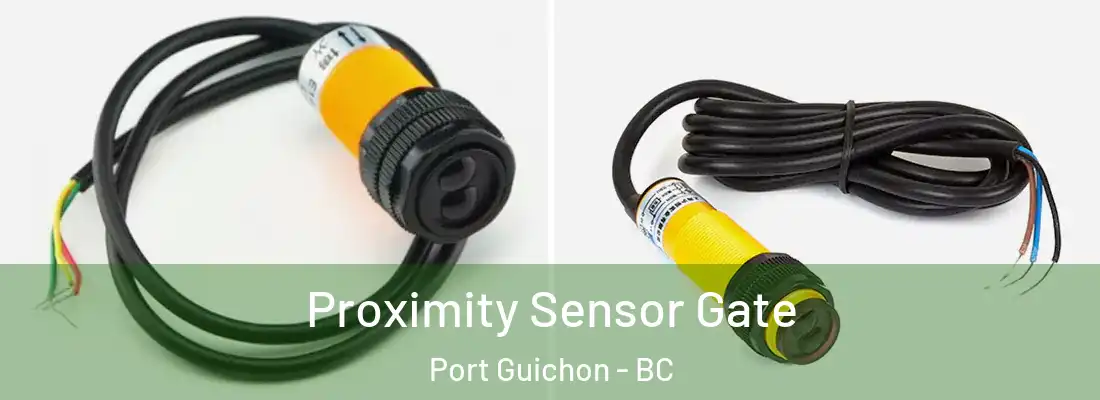  Proximity Sensor Gate Port Guichon - BC
