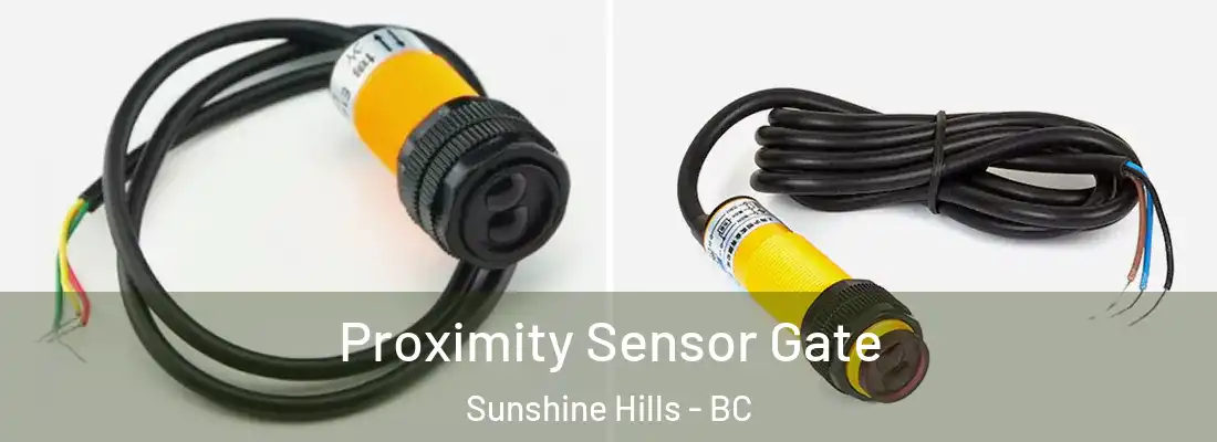 Proximity Sensor Gate Sunshine Hills - BC