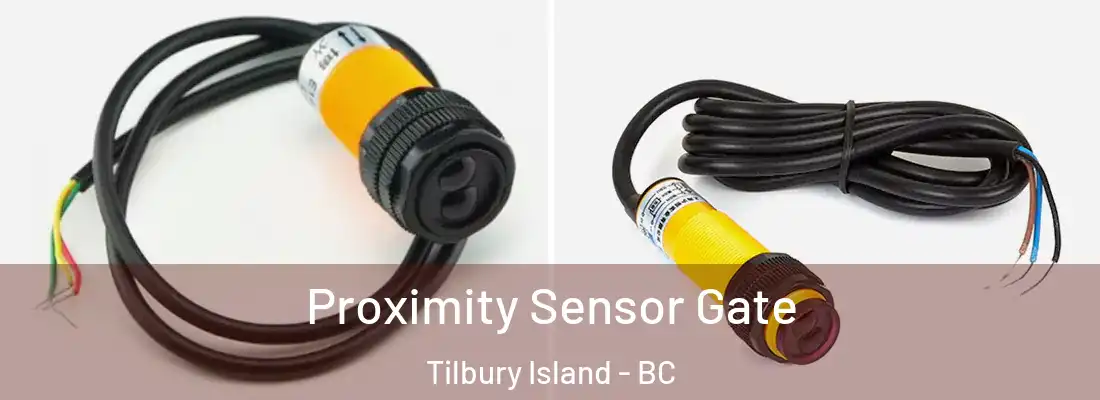  Proximity Sensor Gate Tilbury Island - BC