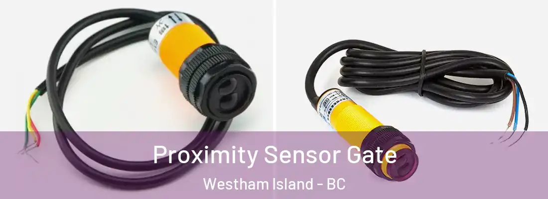  Proximity Sensor Gate Westham Island - BC