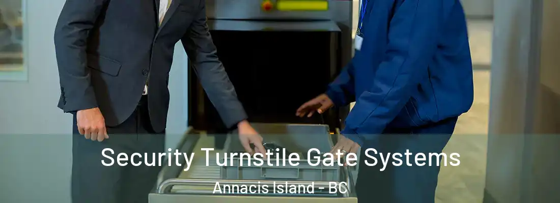  Security Turnstile Gate Systems Annacis Island - BC