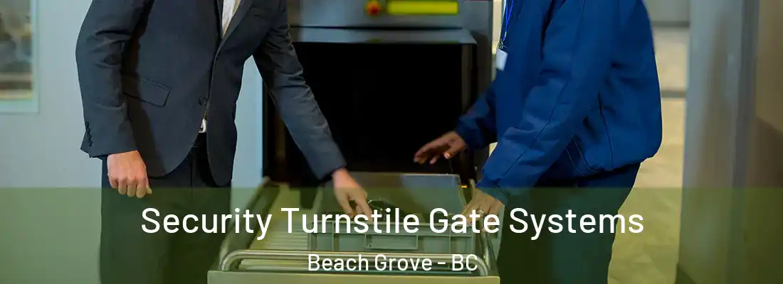 Security Turnstile Gate Systems Beach Grove - BC