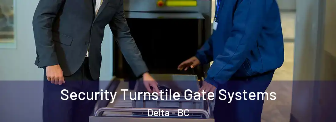  Security Turnstile Gate Systems Delta - BC