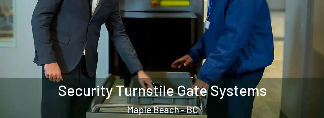  Security Turnstile Gate Systems Maple Beach - BC