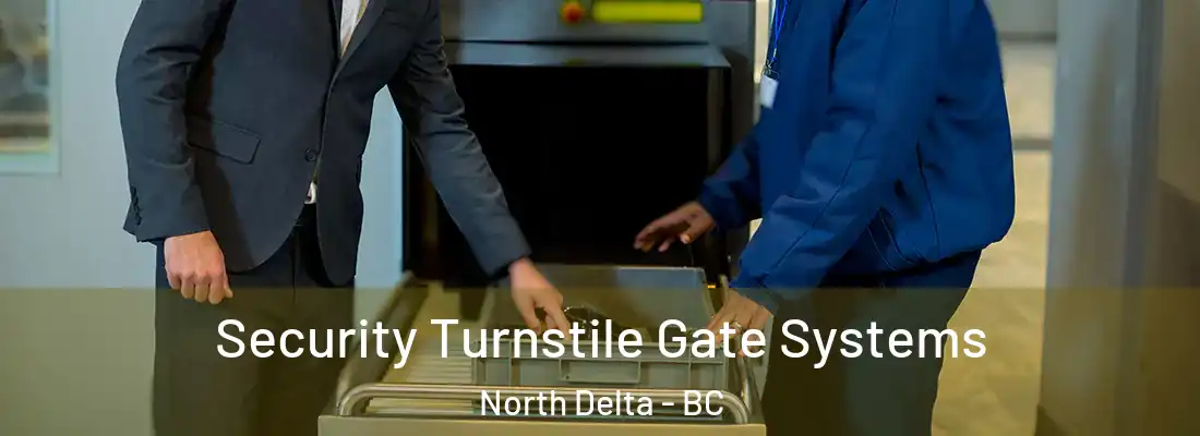  Security Turnstile Gate Systems North Delta - BC