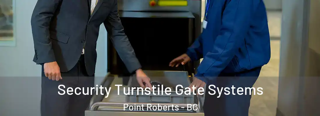  Security Turnstile Gate Systems Point Roberts - BC