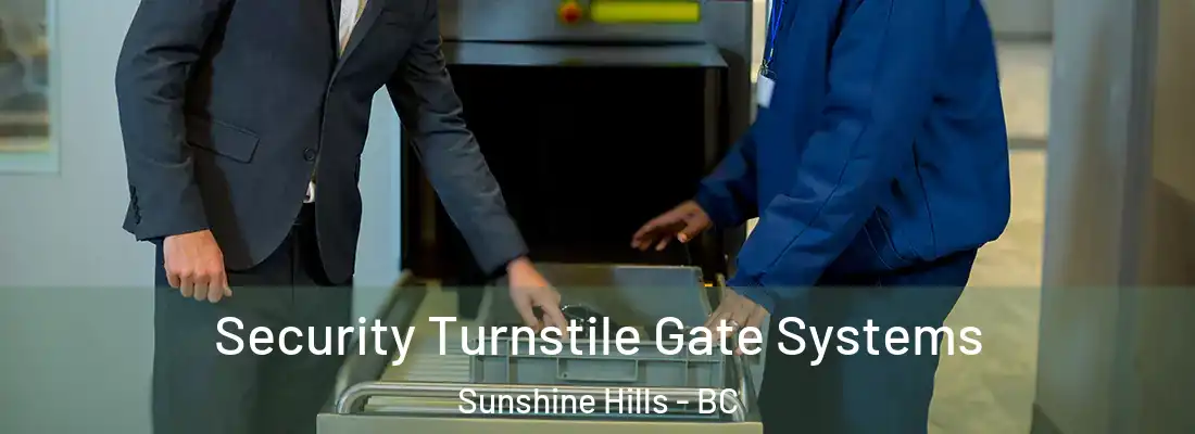  Security Turnstile Gate Systems Sunshine Hills - BC